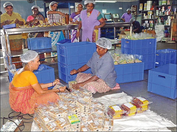 கொஞ்சம் ப்ளஸ்... நிறைய லாபம்! - நிறைவான லாபம் கொடுக்கும் நிலக்கடலை!