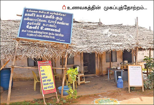 வீட்டுத்தோட்ட காய்கறியில் உன்னத உணவகம்! - நிஜத்தில் ‘36 வயதினிலே’