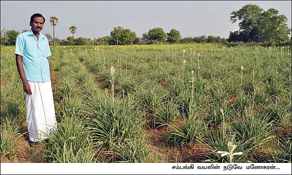 குறைவே இல்லாத வருமானம்... கொடையாக வரும் உற்சாகம்...