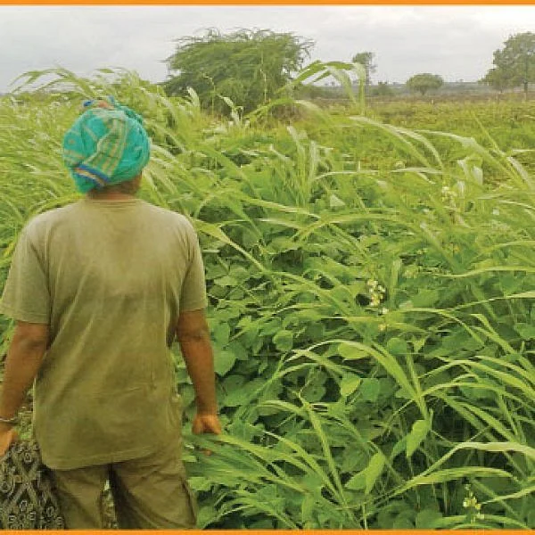From farmer's land to vegetable market... Must know info about agri supply chain..! - Part 6