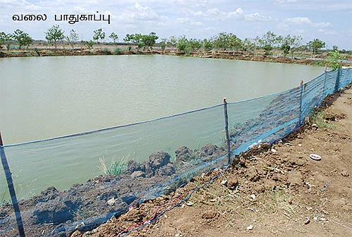 ஒரு ஏக்கர்... 100 நாள்... 2,00,000