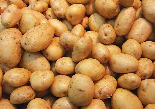 உலகை ஆளும் உருளைக்கிழங்கு... யாருக்கு? எப்படி?