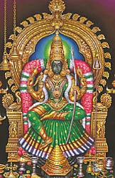 பூரட்டாதி