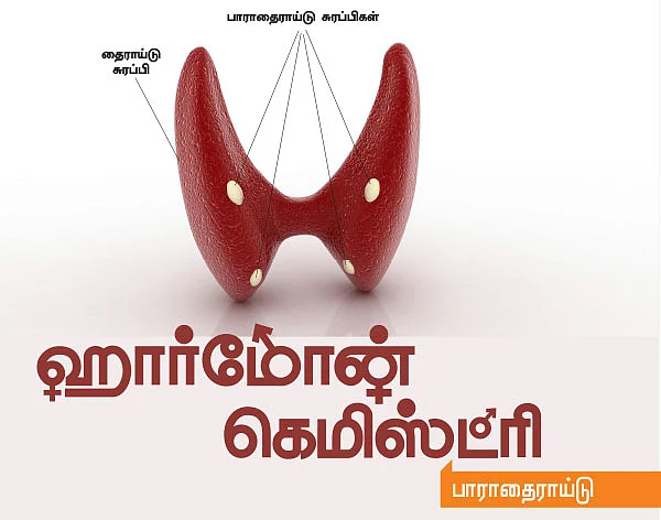 ஹார்மோன் கெமிஸ்ட்ரி - 5