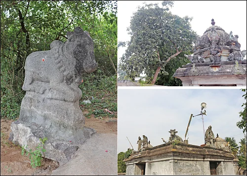 ஆலயம் தேடுவோம்: அழகு பெறட்டும்... சுந்தரரை ஆட்கொண்ட ஆலயம்!
