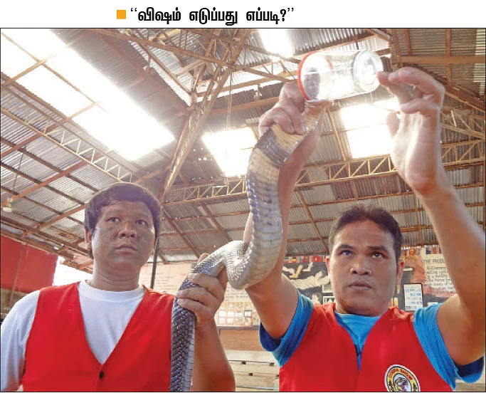 மூன்றாவது பாம்பை எப்படிப் பிடிப்பார்? திகில் கிளைமாக்ஸ்!
