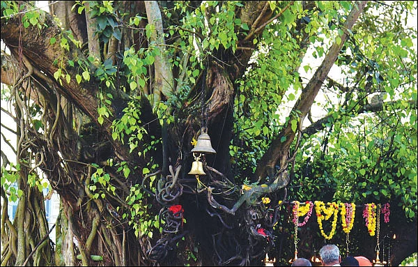 மருத்துவ மூடநம்பிக்கைகள் நம்பினால் கைவிடப்படுவீர்கள்!
