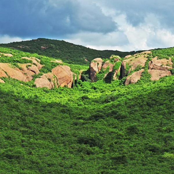 உலகின் ஆதி மனிதன் தமிழன்... அடித்துச் சொல்லும் குடியம் குகைகள்!
