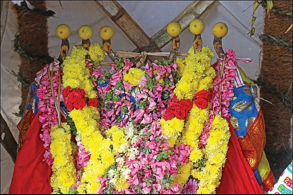 தண்ணீர்த் திருவிழா! - அப்பரின் ஆசிபெற்ற அற்புத கிராமம்