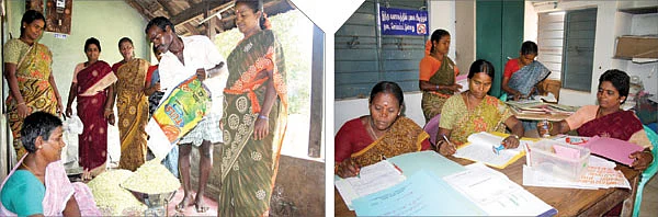 குழுவாக உயர்ந்தது குமளம்!