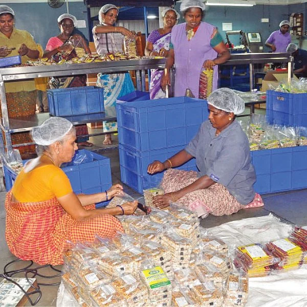 கொஞ்சம் ப்ளஸ்... நிறைய லாபம்! - நிறைவான லாபம் கொடுக்கும் நிலக்கடலை!