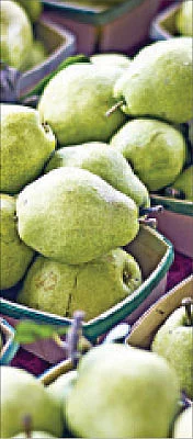 நீங்கள் கேட்டவை - ''நிலக்கரித் தூளை நேரடியாகப் பயிர்களுக்கு பயன்படுத்தலாமா?''