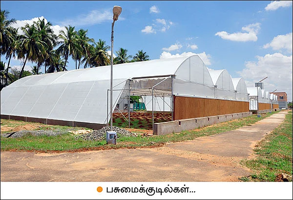 காய்கறிச் சாகுபடியில் நவீனத் தொழில்நுட்பம்...