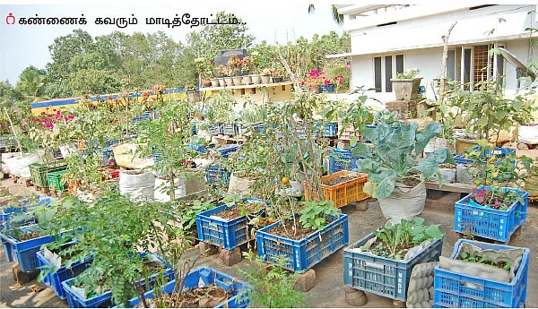 “வீட்டுத்தோட்டம் அமையுங்கள் இப்படி!”
