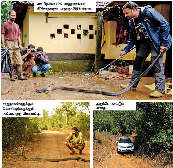 அகும்பே காட்டுக்கு ஜெஸ்ட்டில் ஒரு பெஸ்ட் டூர் !