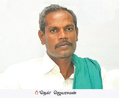 மா விவசாயிகளே... பூக்கள் பூக்கும் தருணம்... பச்சைத் தத்துப்பூச்சி கவனம்!