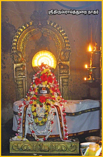 பிணிக்கு மருந்தாகும் பிரசாதத் திருநீறு!
