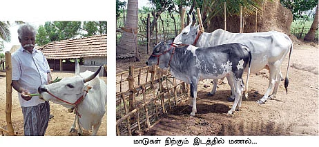 ஏக்கருக்கு 42 மூட்டை நெல்...