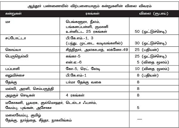 நாற்றுப் பண்ணை : குறைந்த விலை... நிறைந்த தரம்...