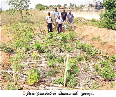 மியாவாக்கி... மரம் வளர்ப்பின் அடுத்தகட்டம்! - குறைந்த இடத்தில் அதிக மரங்கள்!