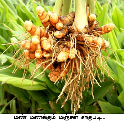 1 ஏக்கர்... 10 மாதம்... 1,40,000...