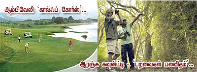 ஜாய்ஃபுல் ஆம்பிவேலி... கலர்ஃபுல் லாவாசா !