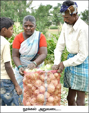 50 சென்ட்... 60 நாள்... 60 ஆயிரம்...