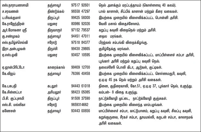 பசுமை சந்தை