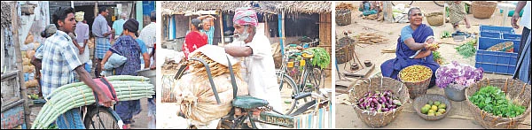 விளையும் விலையும்! - சந்தைக்கு வழிகாட்டும் தொடர் - 8