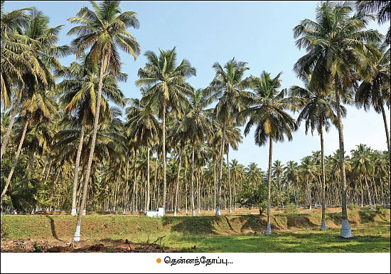 ஆண்டுக்கு ரூ. 50 லட்சம் லட்சியம்... ரூ. 27 லட்சம் நிச்சயம்... அசத்தும் 37 ஏக்கர் இயற்கைப் பண்ணை...