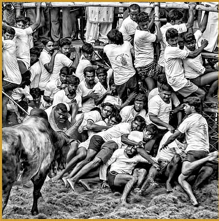 “உலகத்தை ஃபோகஸ் செய்யுங்கள்!”