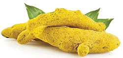 ஒளிந்திருக்கும் எமன் உஷார்... உஷார்!