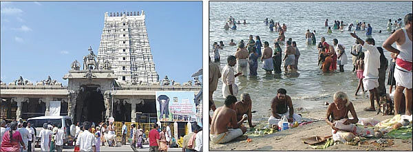 சந்ததி வளர்க்கும் தை அமாவாசை வழிபாடு!