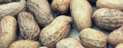 ஏற்றம் தரும் ஏற்றுமதி தொழில்கள் - 28