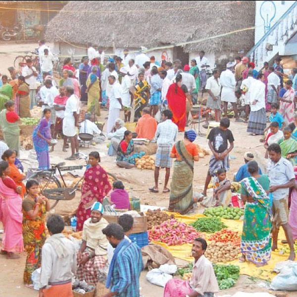 விளையும் விலையும்! - சந்தைக்கு வழிகாட்டும் தொடர் - 8