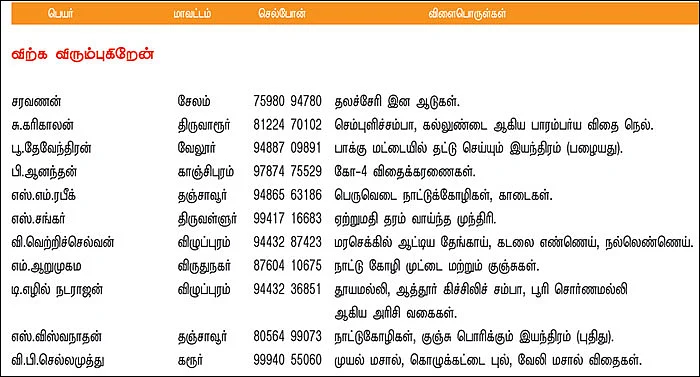 பசுமை சந்தை