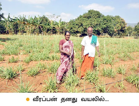 தினம் தினம் பணம்... சம்பங்கி... சாமானியனின் வங்கி!