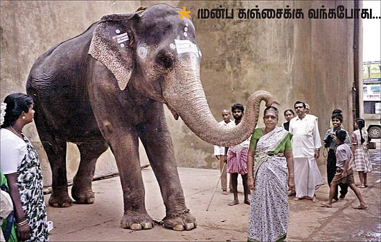 இனி, இல்லை அண்ணையின் அன்னை!