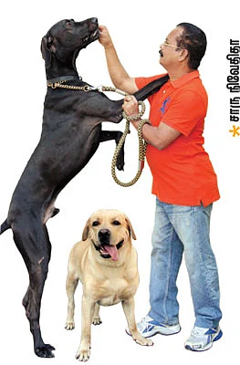 நிற்பதுவே... நடப்பதுவே... பறப்பதுவே...