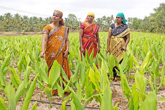 'ஒரு நாள் விவசாயி!'
