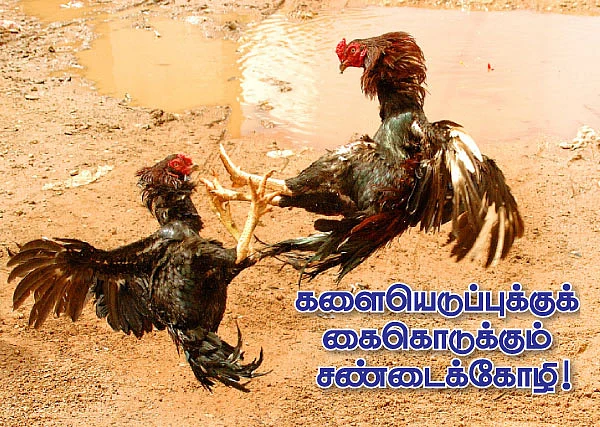 நீங்கள் கேட்டவை