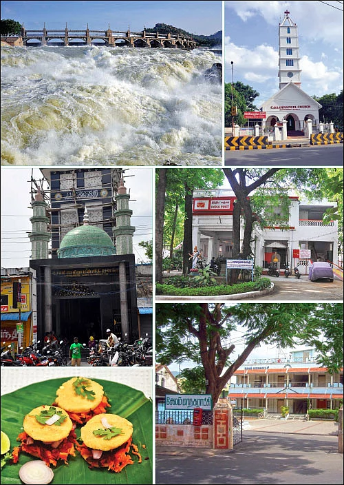 சேலம் 150 - இன்ஃபோ புக்