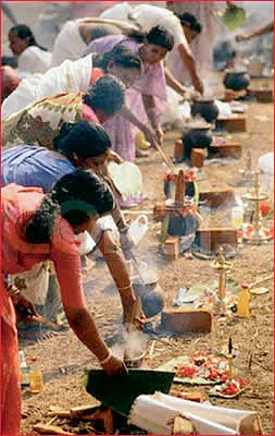 இல்லங்கள் நிறையும் இதயங்கள் பூரிக்கும்! - தை மாத சிறப்பு தொகுப்பு