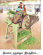 ஆடு +தென்னை +மா