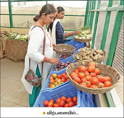 2 ஏக்கர் நிலம்... மாதம் ரூ.60,000... மாநகரில் செழிக்கும் இயற்கை விவசாயம்!