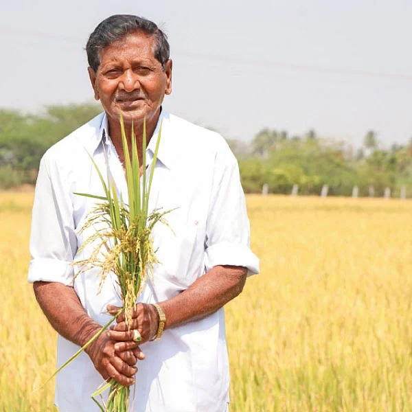 விருது வாங்கிக் கொடுத்த ஒற்றை நாற்று நடவு!