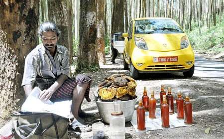 கிரேட் எஸ்கேப் - கோவை to முதுமலை