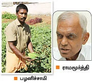 கோயில் வளாகத்தில் குதூகல விவசாயம்!