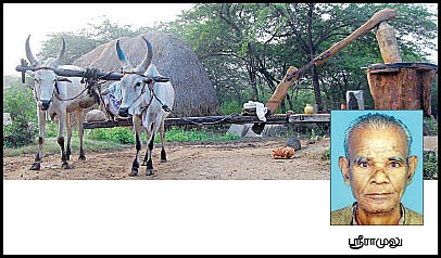 நீங்கள் கேட்டவை : 'கோழித் தீவனம் தயாரிப்பது எப்படி?'