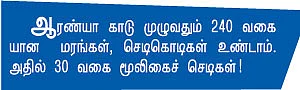 இயற்கையை மீட்க 80 -ஆயிரம் மரங்கள்